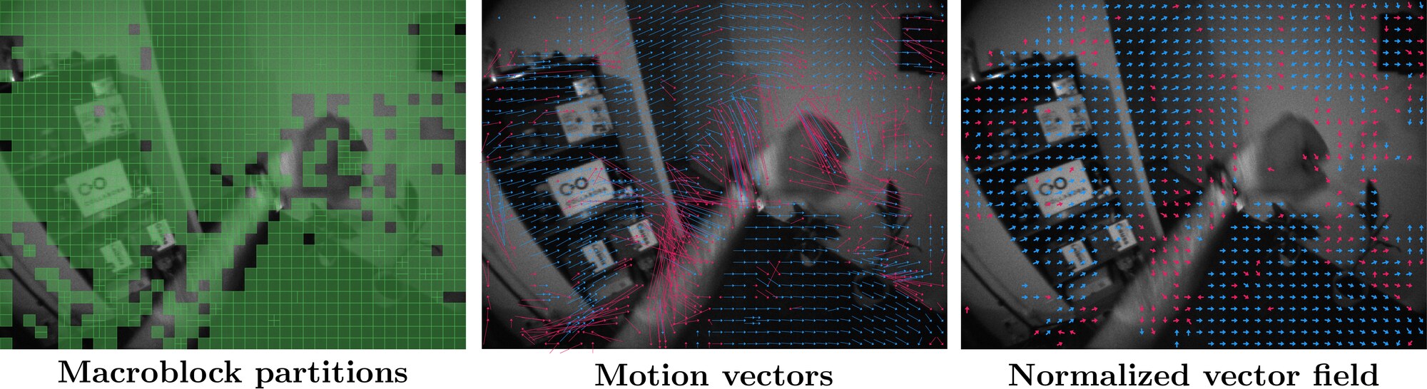 Macroblock partitions, decoded motion vectors, and the induced normalized vector field